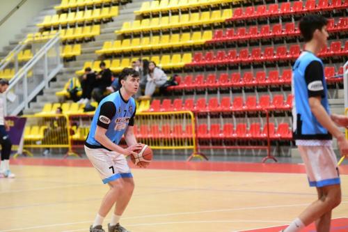 OLIMPIA-RECANATI-74-77-242