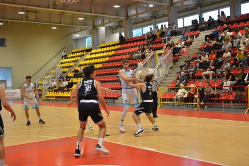 olimpia-bramante-15