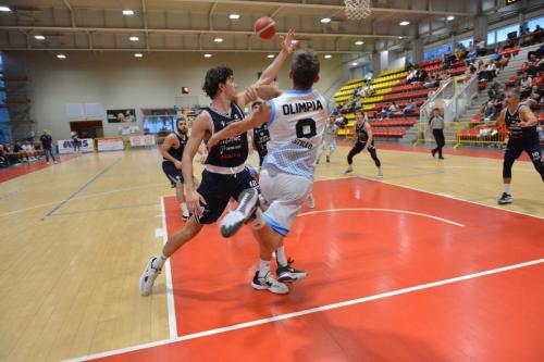olimpia-bramante-39