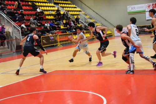 olimpia-castello-civitanova-223